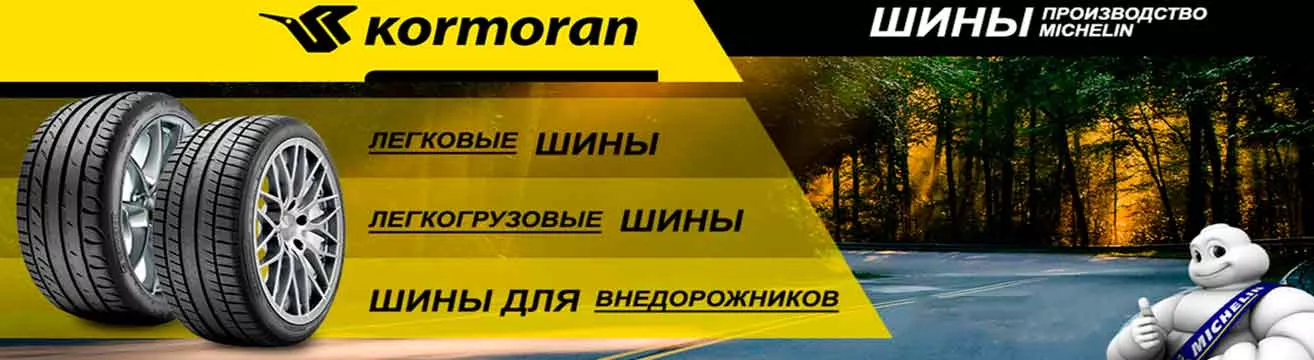 Kormoran Kormoran